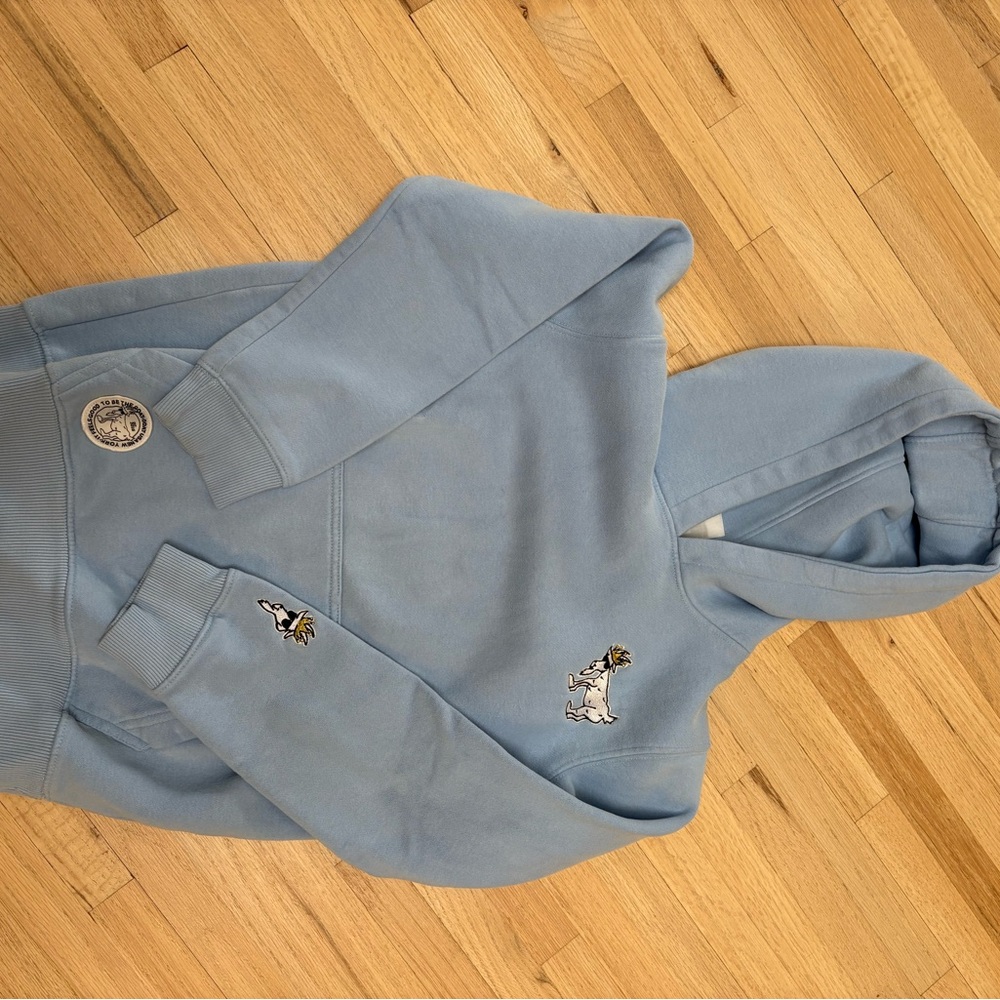 GOAT USA Kids Blue Hoodie with Embroidered Design